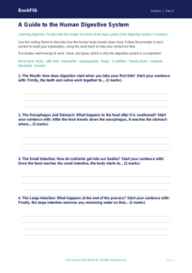 Free Animals Including Humans Writing Frame | Year 4 Core | BookFlik