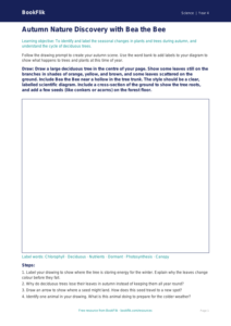 Free Autumn Science Drawing Sheet | Year 4 Core | BookFlik