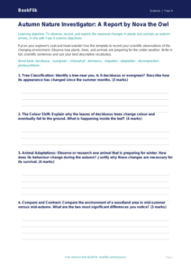 Free Autumn Science Template | Year 4 Greater Depth | BookFlik