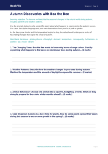 Free Autumn Science Writing Frame | Year 4 Core | BookFlik