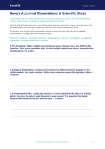 Free Autumn Science Writing Frame | Year 4 Greater Depth | BookFlik