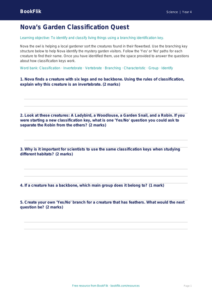 Free Classification Keys Activity Sheet | Year 4 Science | BookFlik