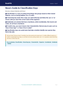 Free Classification Keys Poster | Year 4 Science | BookFlik