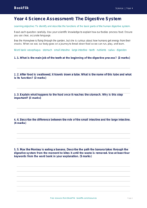 Free Digestion Assessment | Year 4 Core | BookFlik