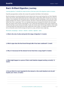 Free Digestion Comprehension | Year 4 Core | BookFlik