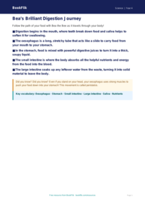 Free Digestion Poster | Year 4 Core | BookFlik