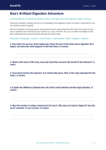 Free Digestion Worksheet | Year 4 Science | BookFlik