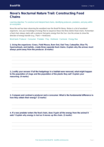 Free Food Chains Activity Sheet | Year 4 Greater Depth | BookFlik