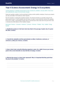 Free Food Chains Assessment | Year 4 Greater Depth | BookFlik