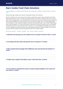 Free Food Chains Comprehension | Year 4 Core | BookFlik
