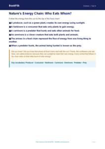Free Food Chains Poster | Year 4 Core | BookFlik