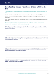 Free Food Chains Writing Frame | Year 4 Greater Depth | BookFlik