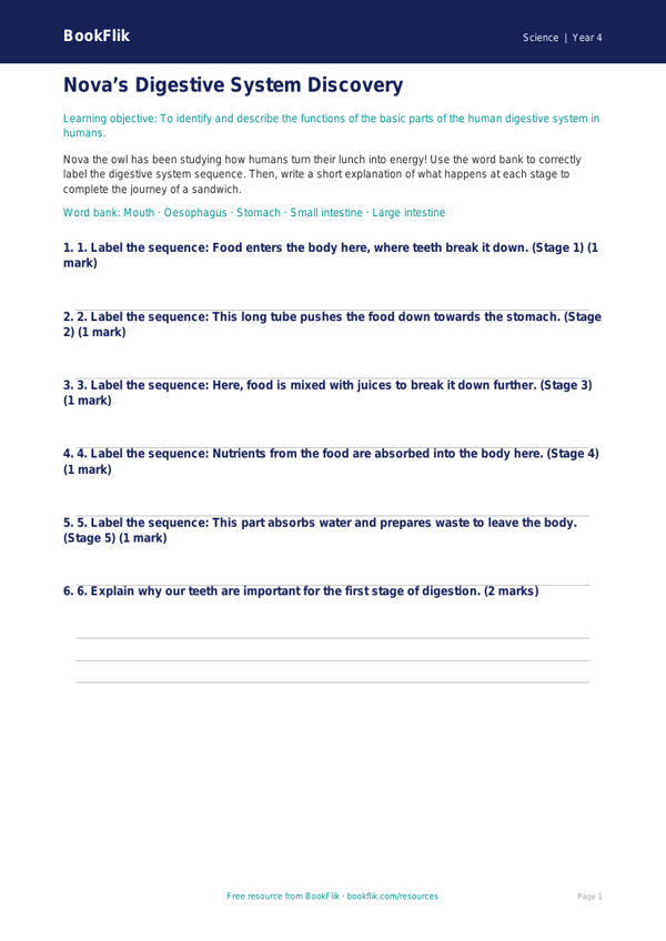 Free Human Body Activity Sheet | Year 4 Core | BookFlik worksheet preview — Science Human Body