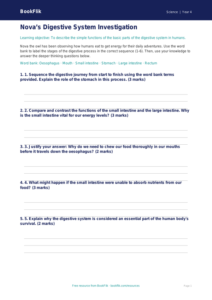 Free Human Body Activity Sheet | Year 4 Greater Depth | BookFlik