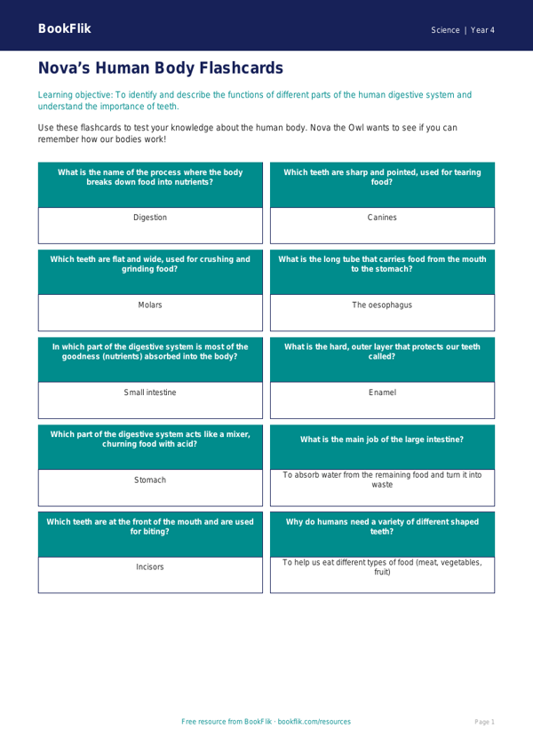 Free Human Body Flashcards | Year 4 Core | BookFlik worksheet preview — Science Human Body