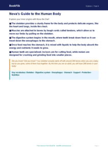 Free Human Body Poster | Year 4 Core | BookFlik