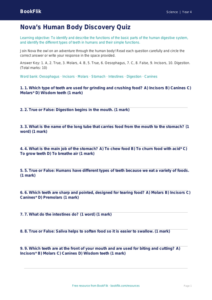 Free Human Body Quiz | Year 4 Core | BookFlik
