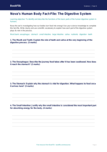 Free Human Body Template | Year 4 Greater Depth | BookFlik