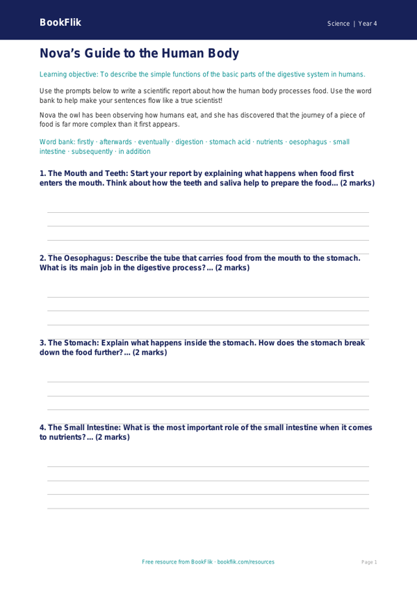 Free Human Body Writing Frame | Year 4 Core | BookFlik worksheet preview — Science Human Body