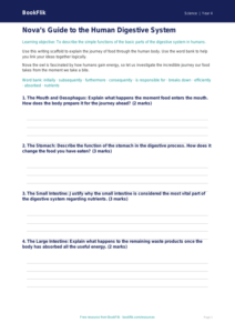 Free Human Body Writing Frame | Year 4 Greater Depth | BookFlik