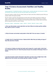 Free Nutrition Assessment | Year 4 Core | BookFlik