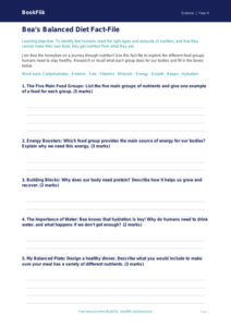 Free Nutrition Template | Year 4 Core | BookFlik