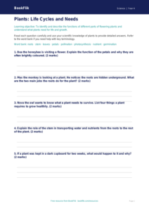 Free Plants Worksheet | Year 4 Science | BookFlik