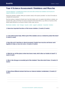 Free Skeleton And Muscles Assessment | Year 4 Core | BookFlik