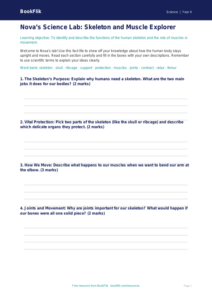 Free Skeleton And Muscles Template | Year 4 Core | BookFlik