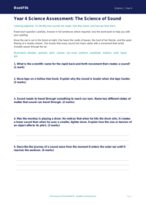 Free Sound Assessment | Year 4 Core | BookFlik