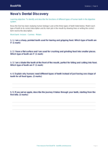 Free Teeth Activity Sheet | Year 4 Core | BookFlik