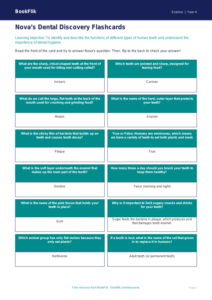 Free Teeth Flashcards | Year 4 Core | BookFlik