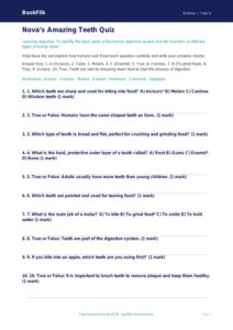 Free Teeth Quiz | Year 4 Core | BookFlik
