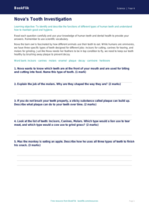 Free Teeth Worksheet | Year 4 Science | BookFlik