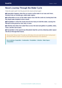 Free Water Cycle Poster | Year 4 Core | BookFlik