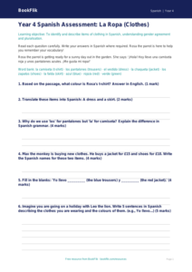 Free Clothes Assessment | Year 4 Core | BookFlik