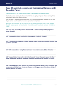 Free Opinion Phrases Assessment | Year 4 Core | BookFlik