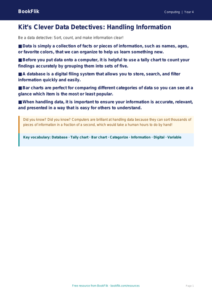 Free Data Handling Poster | Grade 3 | Computing | BookFlik