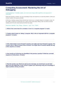 Free Debugging Assessment for Grade 3 Computing | BookFlik
