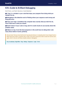 Free Debugging Poster | Grade 3 | Computing | BookFlik