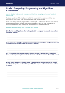 Free Programming Assessment for Grade 3 Students | BookFlik