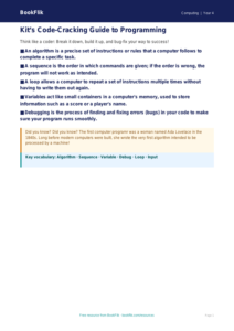 Free Programming Poster for Grade 3 Students | BookFlik