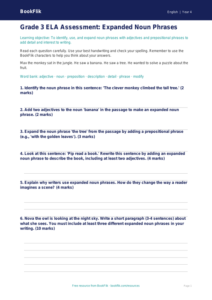 Free Expanded Noun Phrases Assessment | Grade 3 | ELA | BookFlik