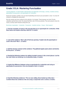 Free Punctuation Assessment for Grade 3 ELA | BookFlik
