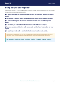 ELA report writing poster grade 3 core
