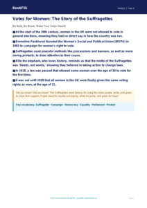 Free Suffragettes Poster | Grade 3 | History | BookFlik