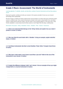 Free Instruments Assessment | Grade 3 | Music | BookFlik