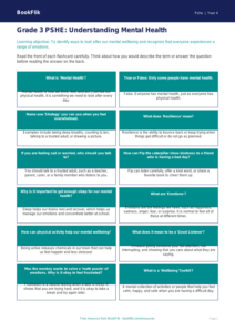 Free Mental Health Flashcards for Kids | Grade 3 | Health & Wellness | BookFlik