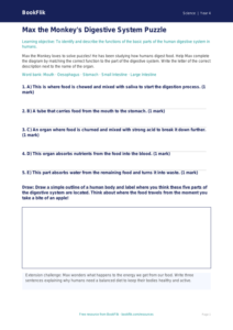 Free Animals Including Humans Activity Sheet | Grade 3 | Science | BookFlik