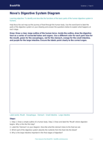 Free Animals Including Humans Drawing Sheet | Grade 3 | Science | BookFlik